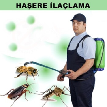 Düziçi Böcek İlaçlama